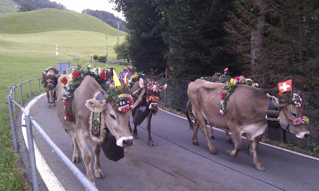 Hotel Posthaus Urigen Unterschächen Buitenkant foto